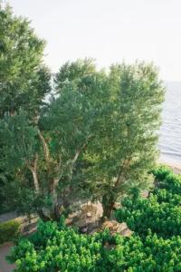 Tzaki & restaurant Patras - 40