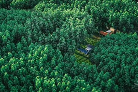 Tzaki & restaurant Patras - 12