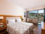 Standard Double room with land view