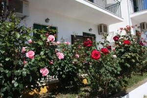 Esperos Hotel, Skiathos Town