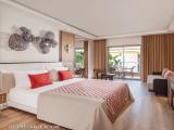 Deluxe Large Double room