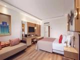 Deluxe Large Double room with balcony