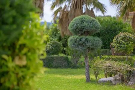 Oikies Small Elegant Houses - 29