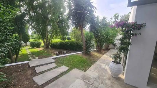 Skiathos Holidays - 66