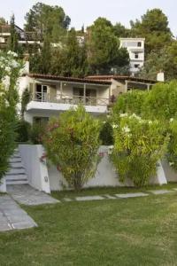 Skiathos Holidays - 136