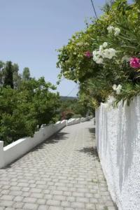 Skiathos Holidays - 29