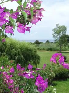 Skiathos Holidays - 27