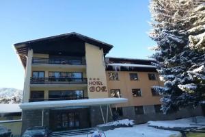 Hotel Bor