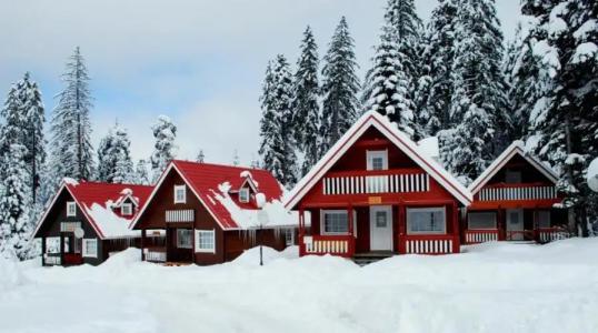 Ski Chalet Borovets - 62