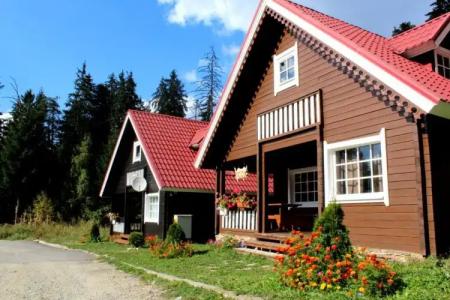 Ski Chalet Borovets - 50