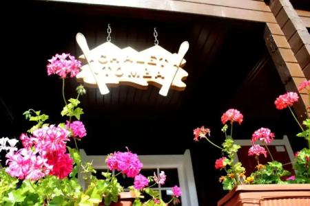 Ski Chalet Borovets - 35