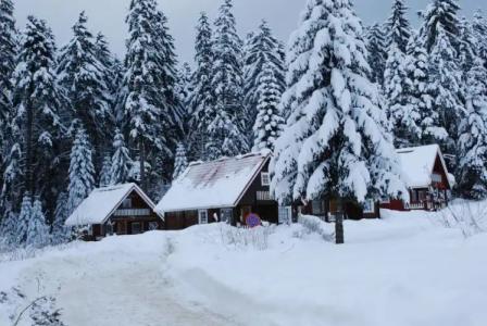 Ski Chalet Borovets - 30