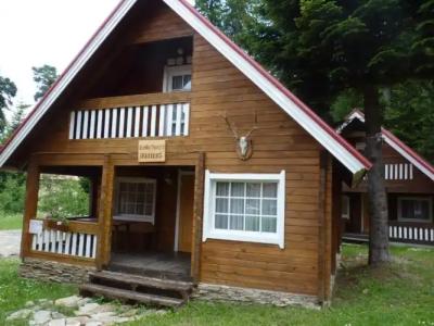 Ski Chalet Borovets - 12