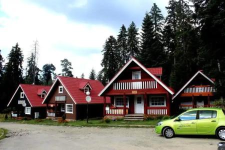 Ski Chalet Borovets - 6