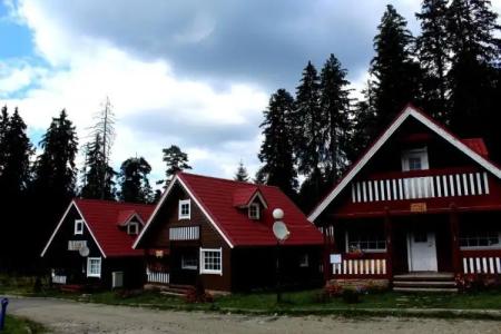 Ski Chalet Borovets - 48