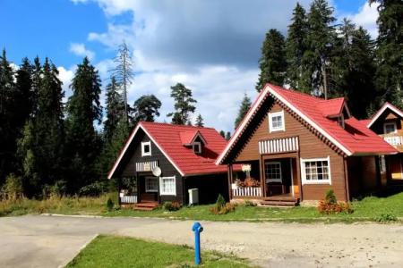 Ski Chalet Borovets - 51