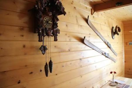 Ski Chalet Borovets - 38