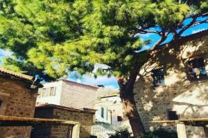 Les Pergamon Boutique Hotel, Bergama