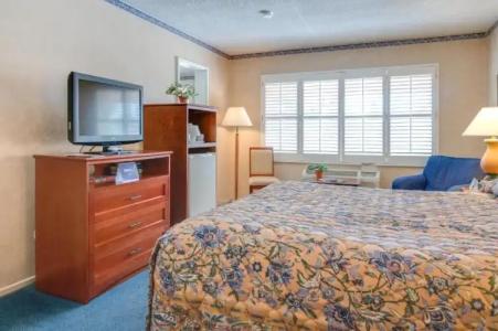 Saga Motor Pasadena - 19