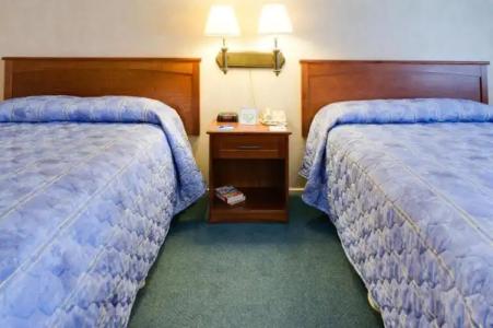 Saga Motor Pasadena - 46