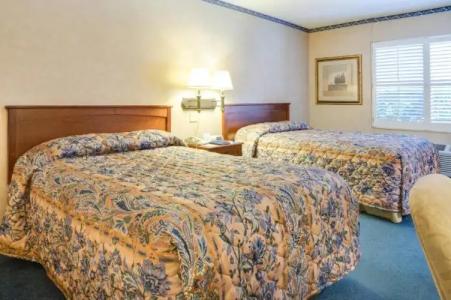 Saga Motor Pasadena - 39