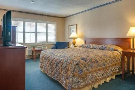 Saga Motor Pasadena - 16