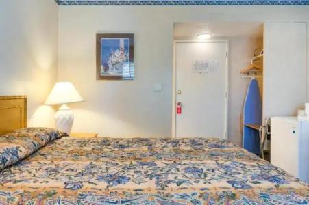 Saga Motor Pasadena - 30