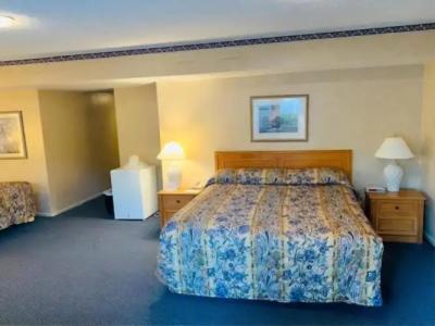 Saga Motor Pasadena - 12