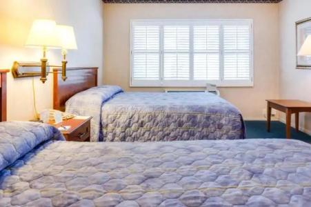 Saga Motor Pasadena - 47