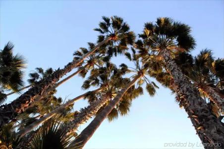 Saga Motor Pasadena - 6