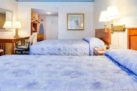 Saga Motor Pasadena - 50