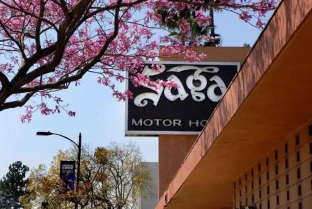 Saga Motor Pasadena