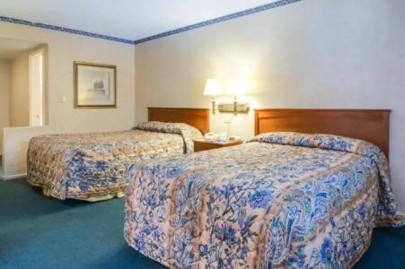 Saga Motor Pasadena - 37