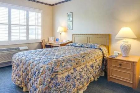 Saga Motor Pasadena - 27