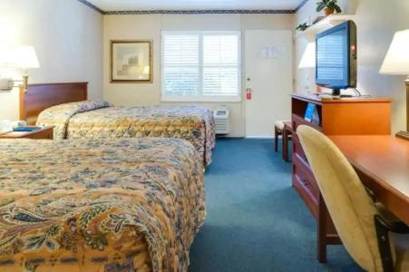 Saga Motor Pasadena - 38