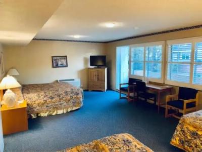 Saga Motor Pasadena - 13