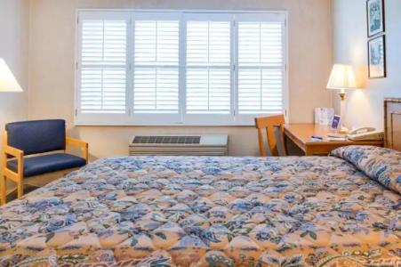 Saga Motor Pasadena - 22