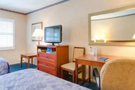 Saga Motor Pasadena - 43