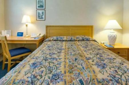 Saga Motor Pasadena - 26