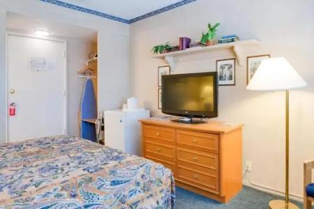 Saga Motor Pasadena - 31