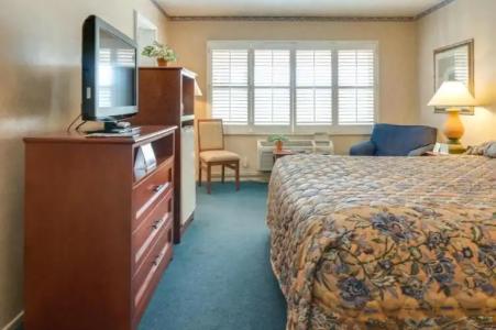 Saga Motor Pasadena - 18