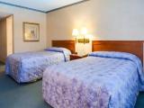 Standard Double room with pool view