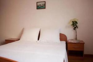 Villa Adria, Vodice