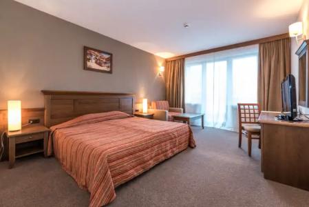 Lion Bansko - 11