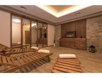 Lion Bansko - 4