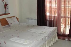 Zasheva Kushta Guesthouse, Bansko