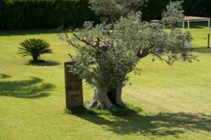 Masseria Giamarra, Carpignano Salentino