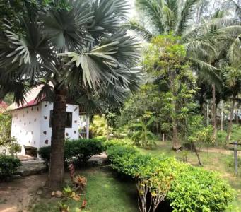 Haad Khuad Resort - 19