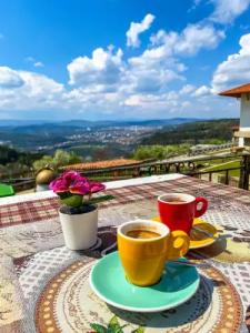 Sevastokrator & SPA - 41