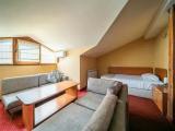 Mansard Suite